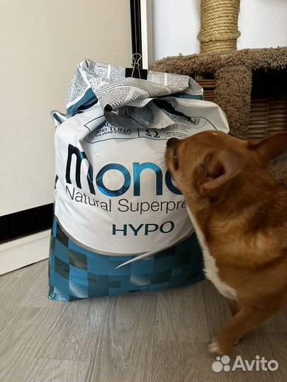 Корм для собак monge 12 кг