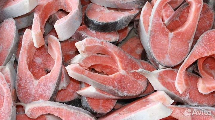 Готовый бизнес: прибыльный рыбный магазин