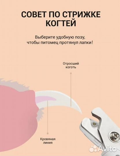 Когтерез для домашних животных Xiaomi Petkit