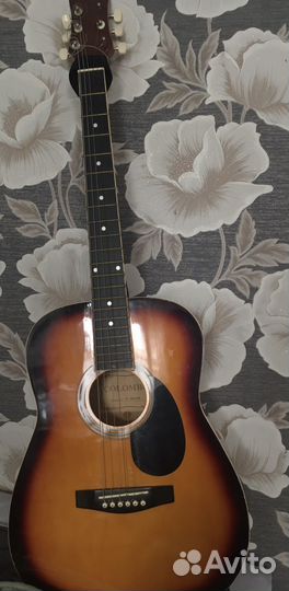 Акустическая гитара colombo LF-3800 SB