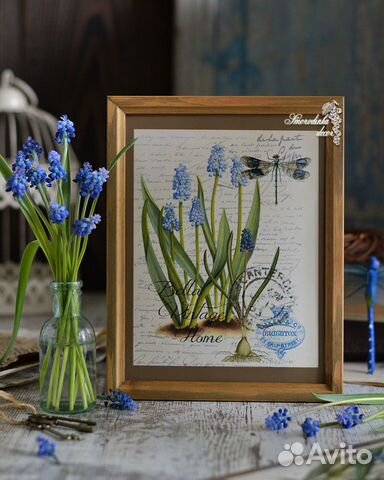 Иллюстрация ботаническая Мускари