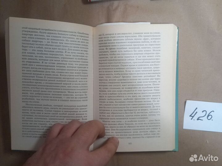 Человек находит друга Лоренц Конрад Захарис