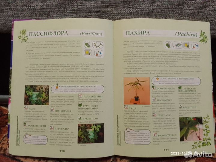 Книга «Энциклопедия Комнатных Растений» 2004