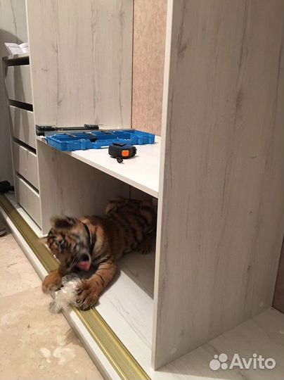 Сборка мебели. Установка кухни под ключ