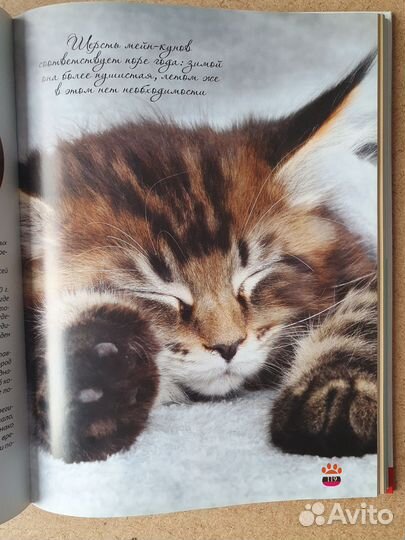 Кошки Большая иллюстрированная энциклопедия