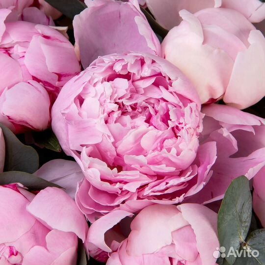 Композиция с пионами в корзине