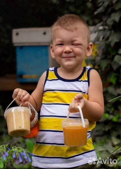 Натуральный мёд (годовой запас на всю семью) -ведр