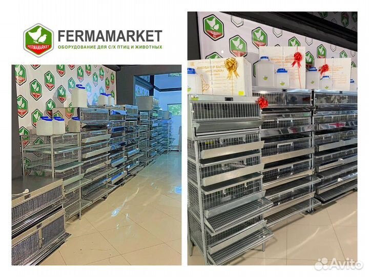 Клетки для перепелов Орёл