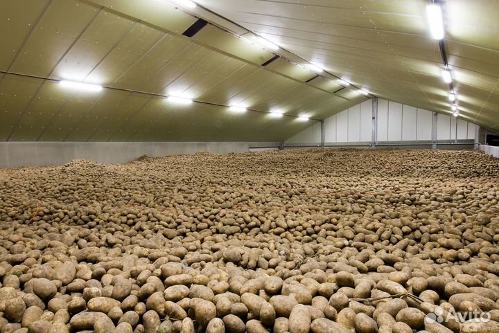 Привлекаем инвестиции с ежемесячной выплатой 3%