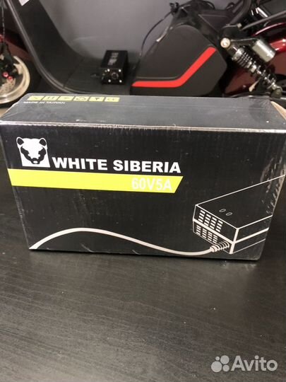 Зарядное устройство для электроскутера WS 60V