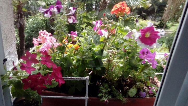 Комната 20 м² в 3-к., 2/5 эт.