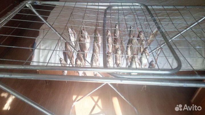 Сушилка для рыбы