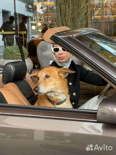 Парень сидит в приюте