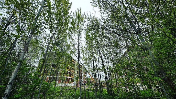 1-к. квартира, 47,8 м², 5/5 эт.