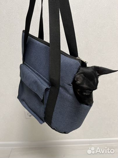Сумка для собак