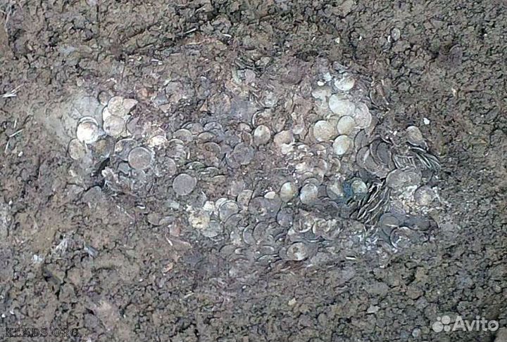 Монеты разные большой Лот в Твери