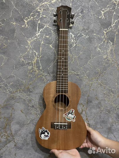 Укулеле концерт