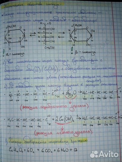 Перепишу лекции/конспекты