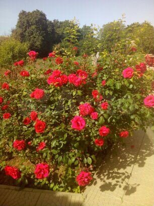 Комната 8 м², 1/1 эт.