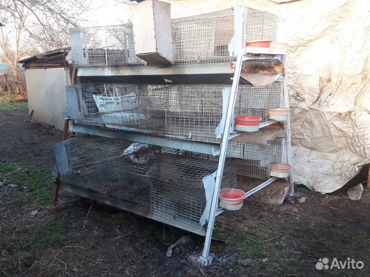 Клетка для содержания кроликов или птицы