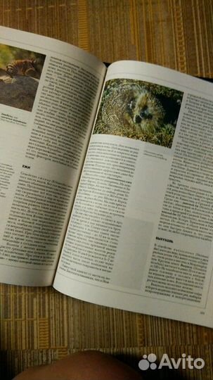 Книги энциклопедии