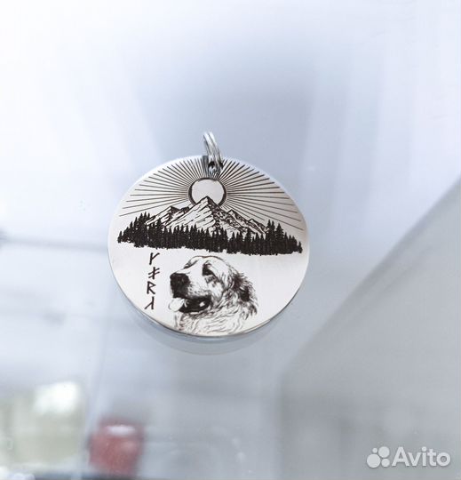 Адресник. Адресник для собак