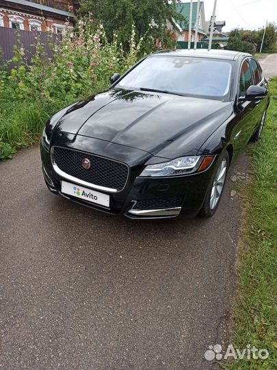Jaguar XF 2.0 AT, 2017, 64 600 км