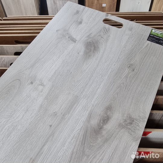 Ламинат 8 мм Дуб Гордон Светлый