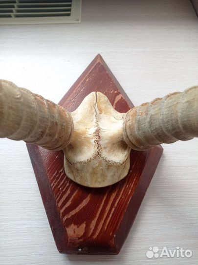 Вешалка рога