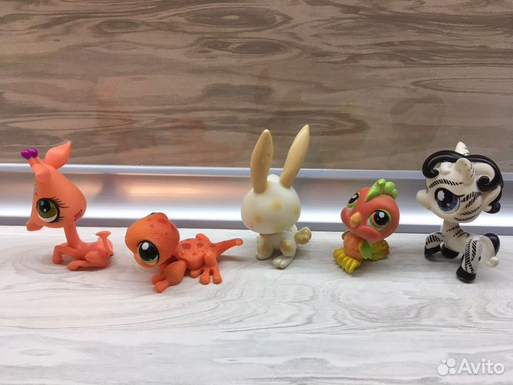 Littlest pet shop hasbro