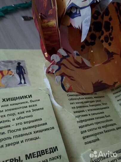 Энциклопедия древностей. Динозавры