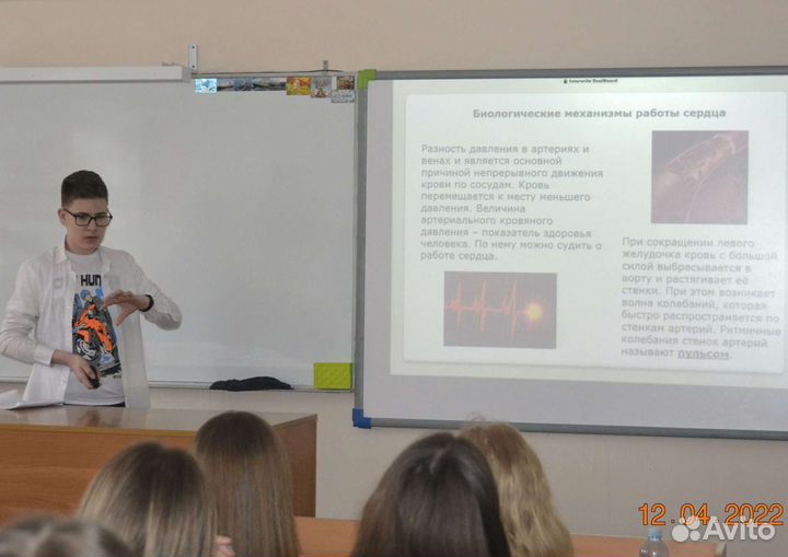 Репетитор по математике/физике/информатике