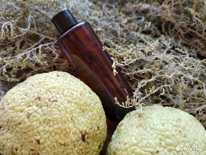 Масло маклюра