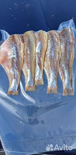 Астраханский вяленый лещ