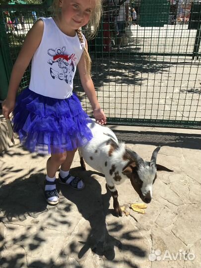 Платья для девочки 116