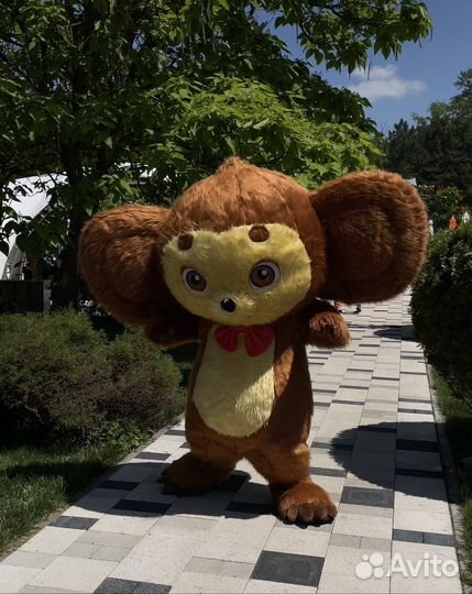 Ростовая кукла поздравление чебурашка аэро