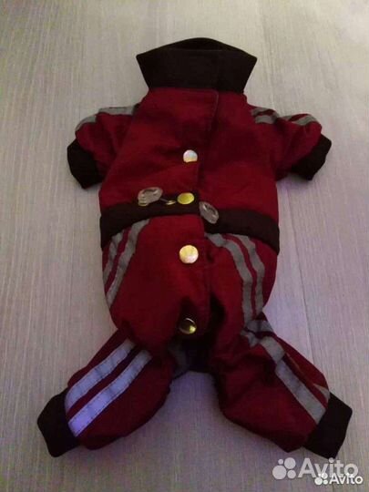 Комбинезон для маленькой собачки