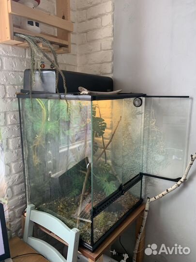 Террариум для рептилий бу