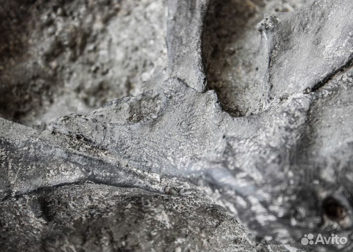 Череп T. Rex (реплика) / Полный раз**б интерьера