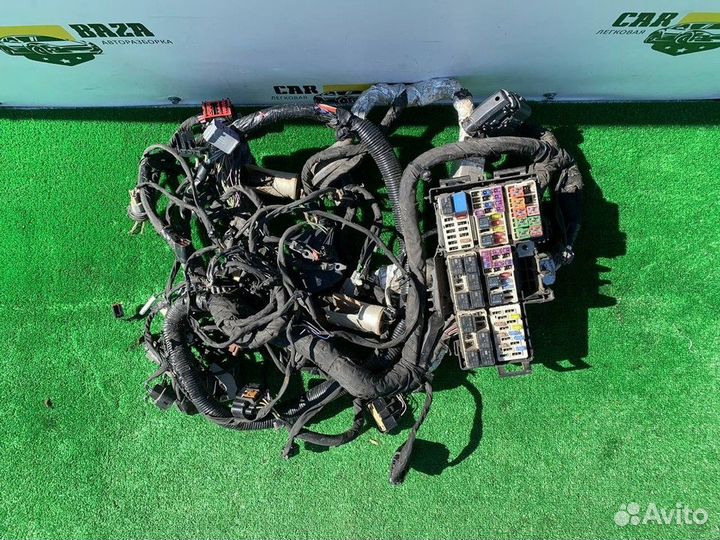 Электропроводка двигателя Ford Mustang