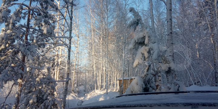 Дом 46 м² на участке 40 сот.