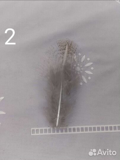 Перья для вязания мух