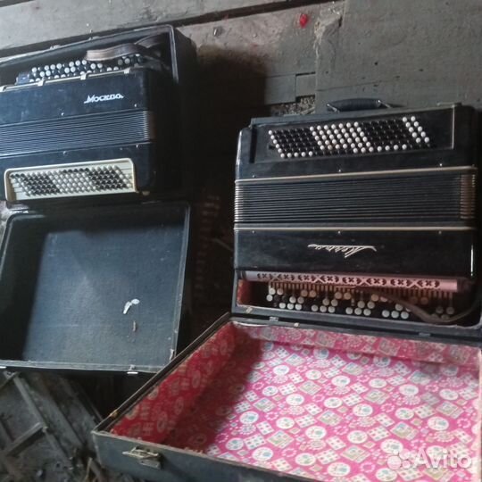 Продаю баян 