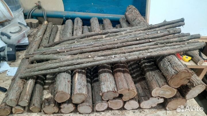 Стволы можжевельника