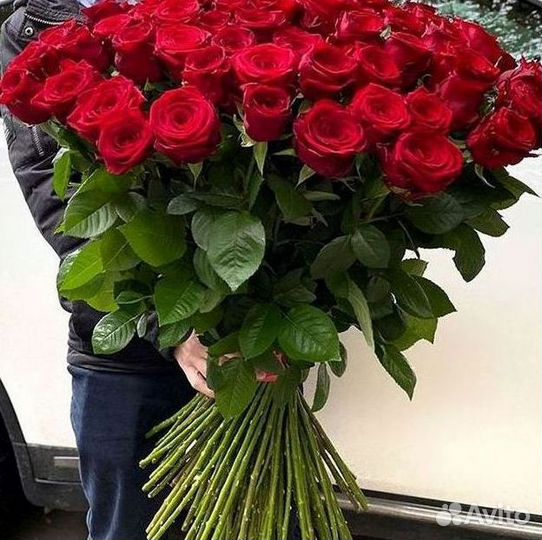 Высокие метровые розы