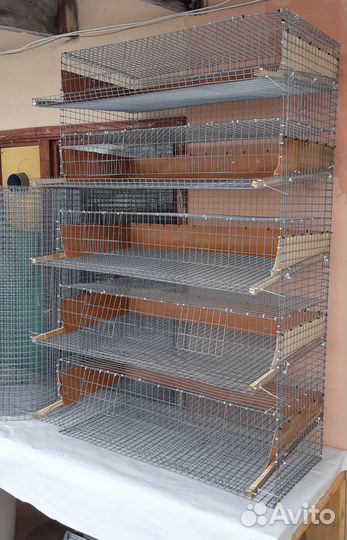 Перепелиные яйца