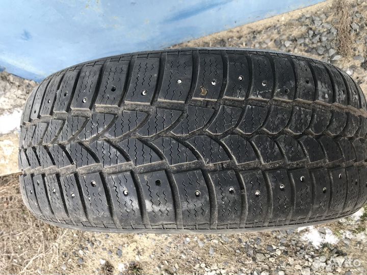 Tigar Sigura Stud 205/55 R16 91T