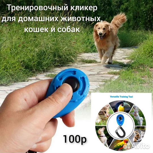 Товары,одежда, игрушки для кошек, собак