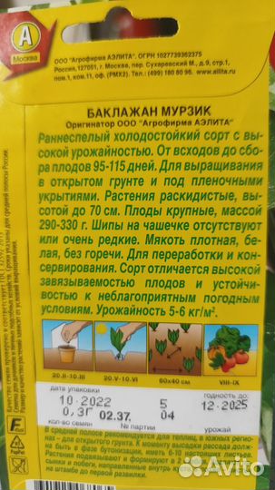 Рассада баклажан