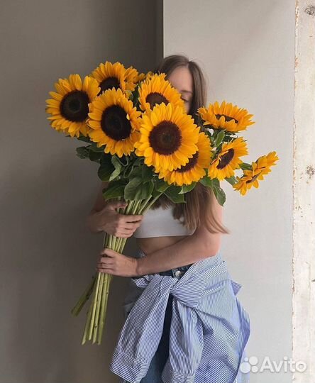 Подсолнухи цветы